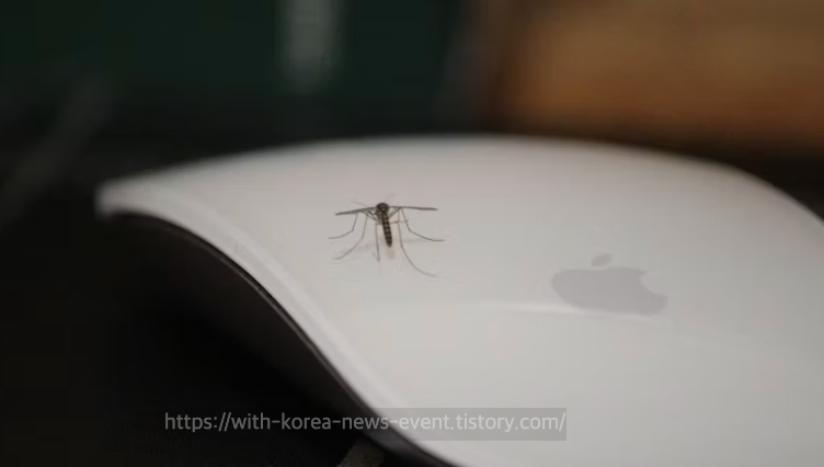 캐리어에 태국 여행 필수품인 선크림과 모기기피제를 챙기는 모습