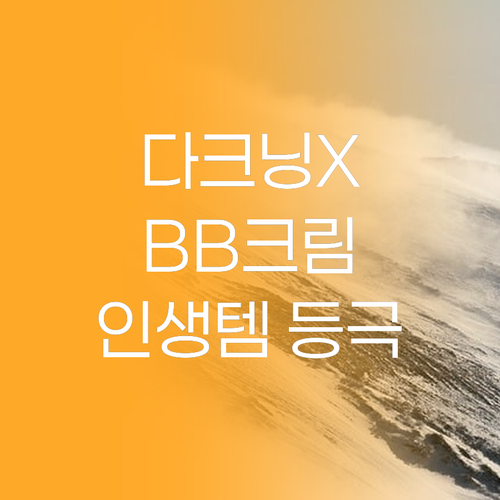 다크닝 없는 BB크림 찾았다! 토니모