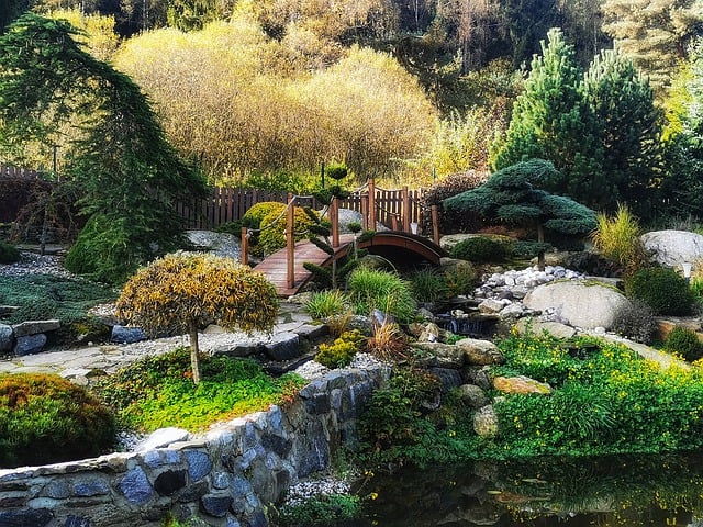 숲나들e 활용 꿀팁 가이드: 전국 자연휴양림 완전정복