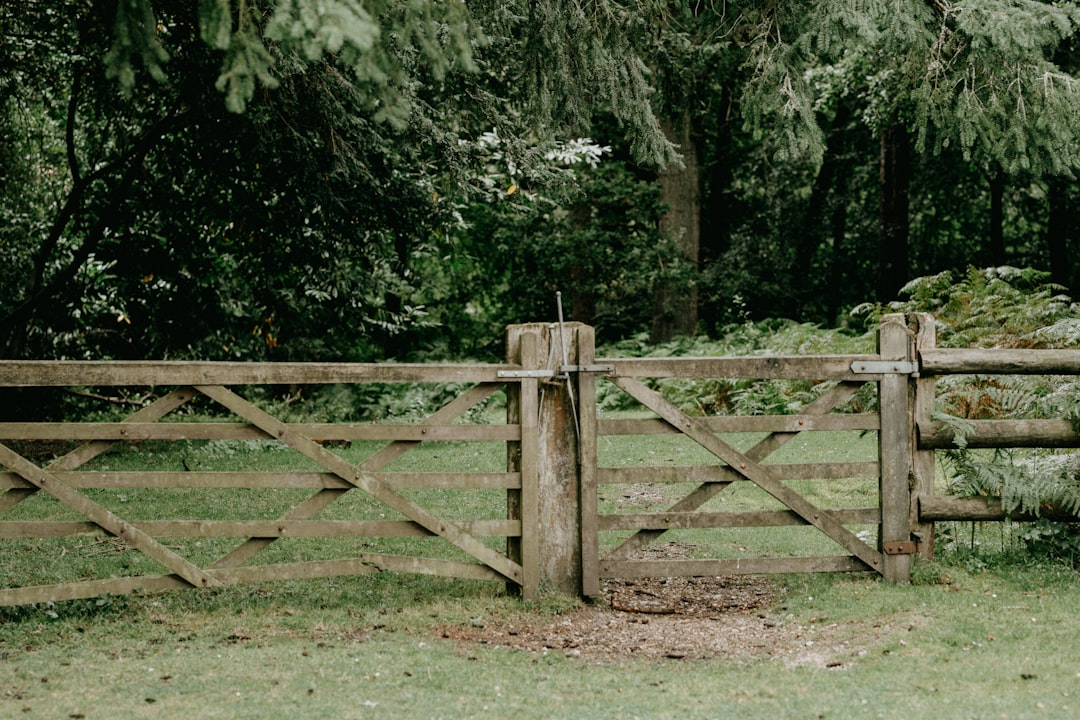 Boundary