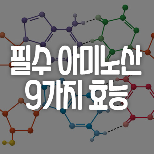 필수 아미노산 9가지 효능