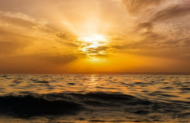 히나타 쇼요를 담은 Little Giant