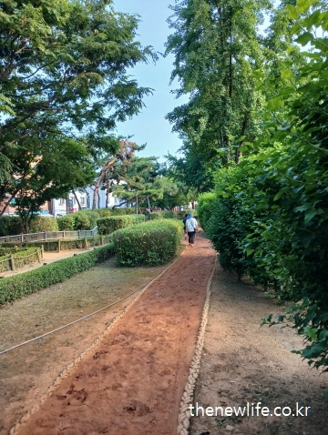 황토길 맨발 걷기를 하며 면역력 강화와 피로 해소 효능을 체험하는 모습