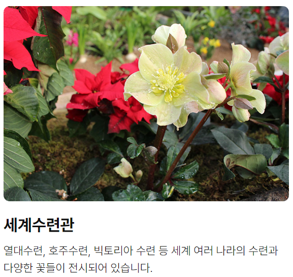 양평 세미원