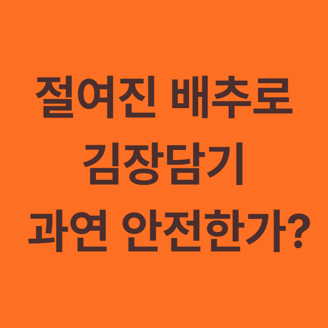 절여진배추로 김장담기 과연 안전한가?
