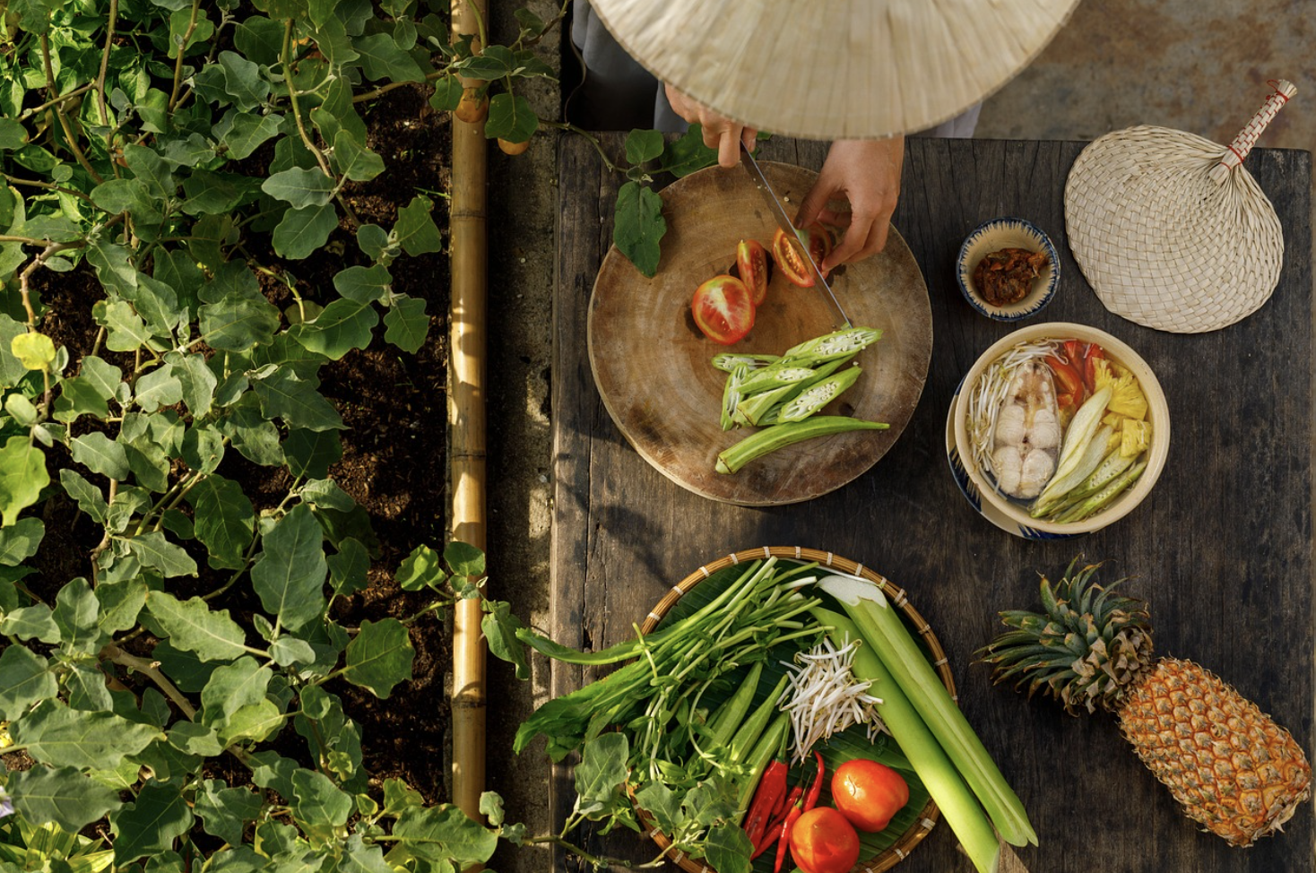 해외 식당에서 당황하지 않기! 메뉴판 읽기 & 주문 꿀팁 (7편 : 베트남)