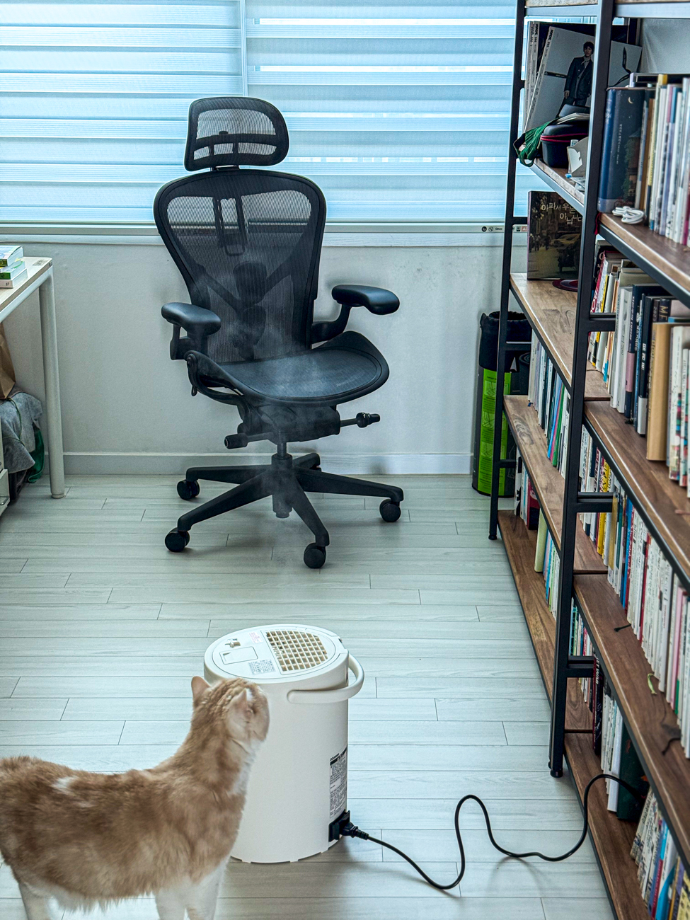 2025 조지루시 신형 가습기