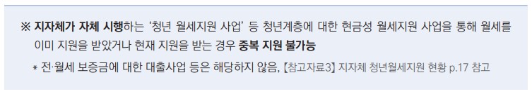 청년월세 한시 특별지원 (17)