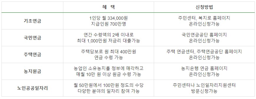 노인지원정책