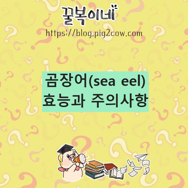 생활정보