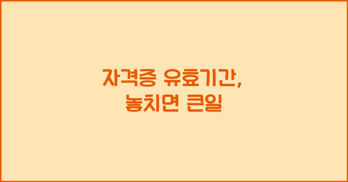 자격증 유효기간