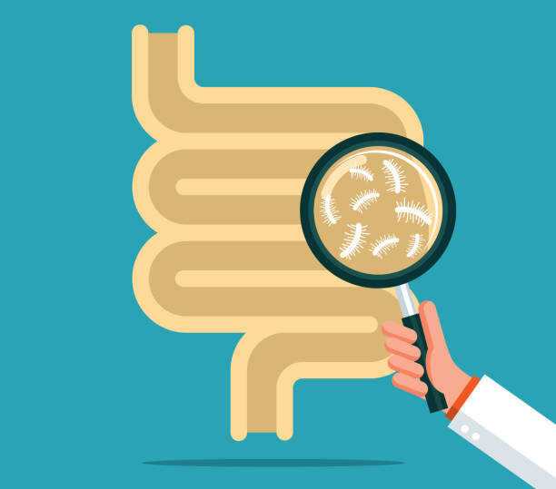 장을-돋보기로-보고있는-그림