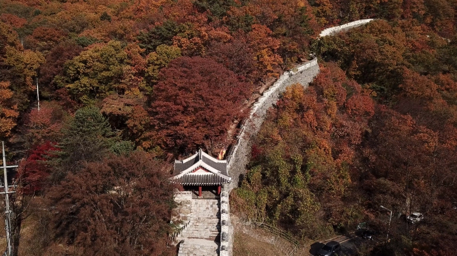 동문 단풍