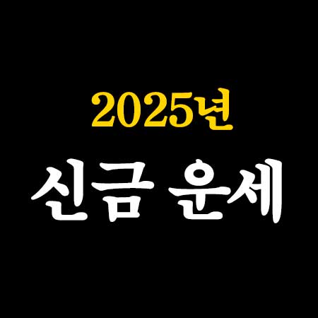 2025년 을사년 신금 운세