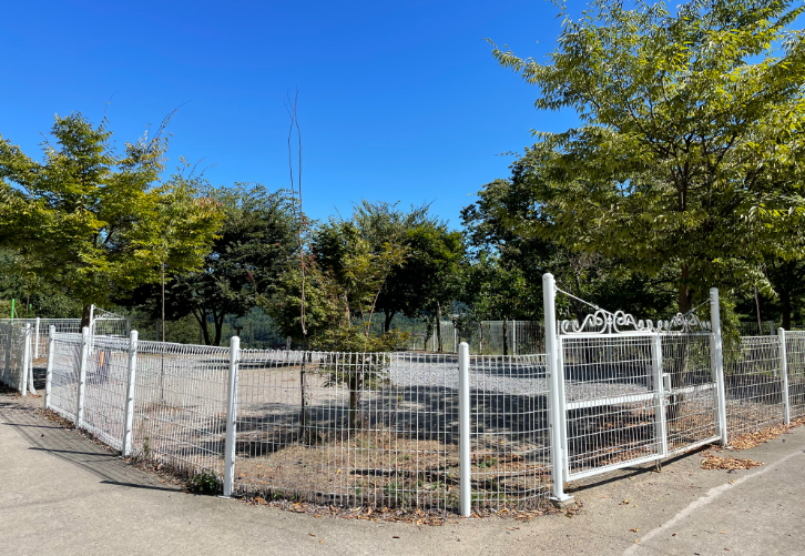 경기-가평-파머스힐-캠핑장-사진-입니다.