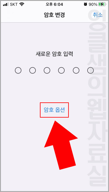 아이폰 암호 옵션