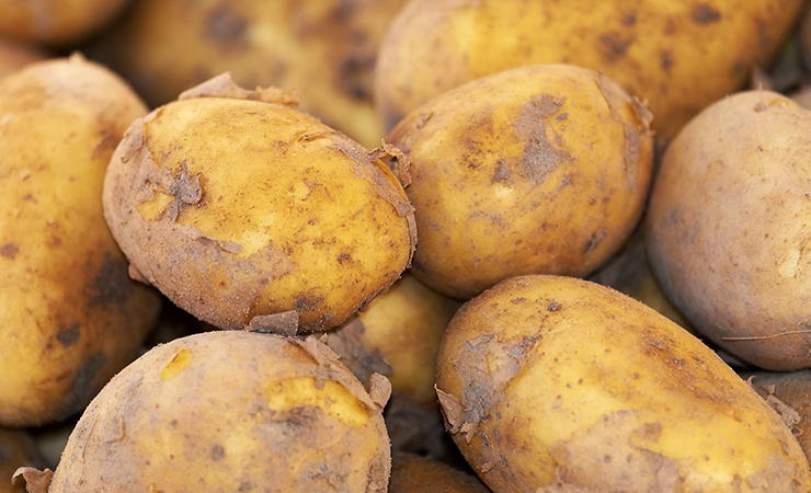 위염에 좋은 음식 베스트 감자