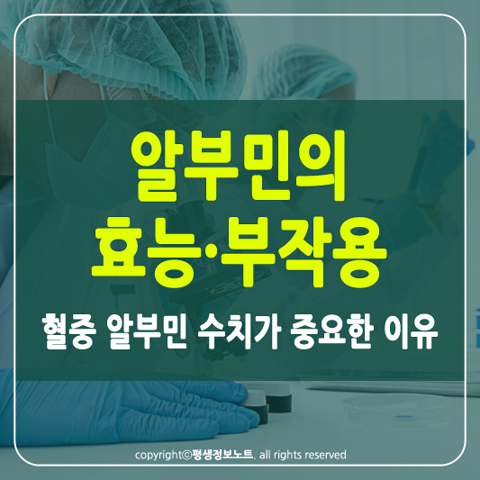 알부민의 효능과 부작용 썸네일