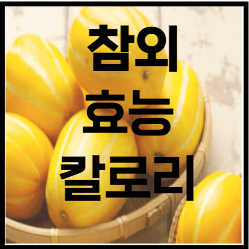 참외 메인