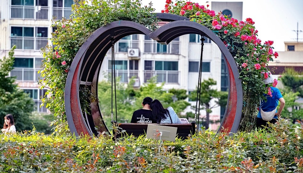 백만송이 장미축제