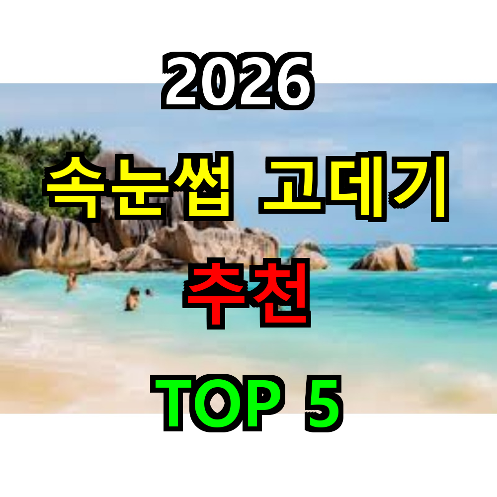 2026 속눈썹 고데기 추천 TOP 5
