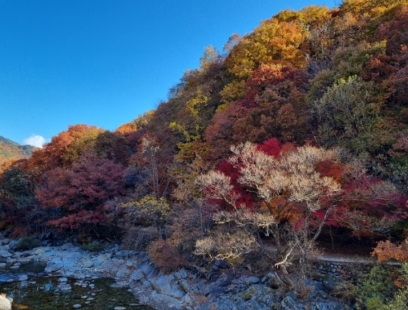 지리산 뱀사골 캠핑장 모습