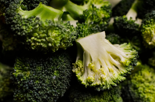 매일 먹으면 좋은 브로콜리 건강 채소 클로즈업 이미지