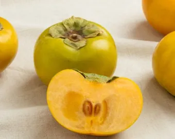 태추단감 이란 아직도 그냥 단감이라고 생각하세요 feat 일반 단감과 완벽 비교 분석으로_10