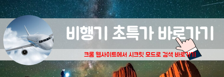 울란바토르 여행 몽골 비행기표