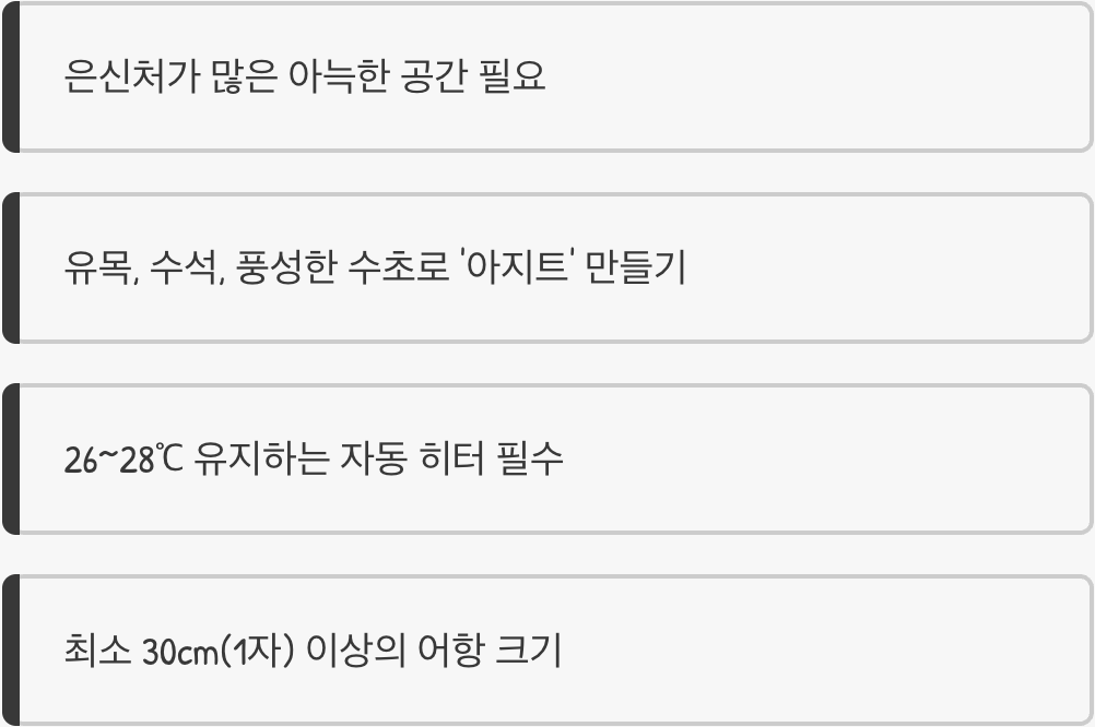 어항 - 따뜻하고 아늑한 '나만의 공간'