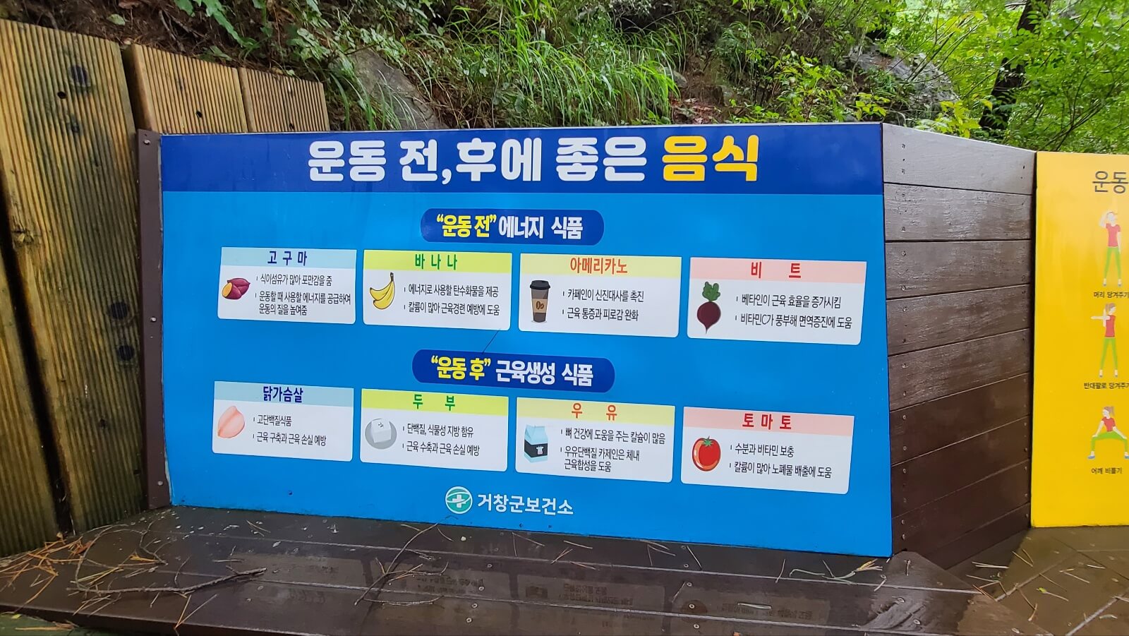 등산로4