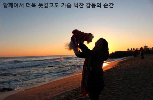 태안 해넘이 당일 펫키지 전문사진