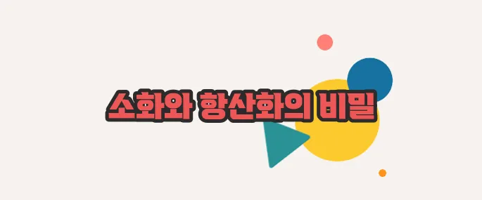 발사믹식초 효능 한번 열어봐야겠네요