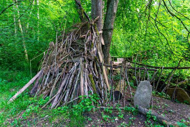 낙엽·솔잎을 활용한 대피소 내 침상·방한재 DIY