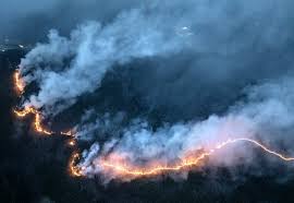 울주군 산불 특별재난지원금