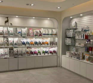 강아지 췌장염 증상