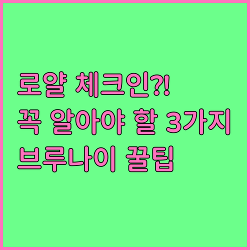 로얄브루나이항공 온라인 체크인 자주 ..