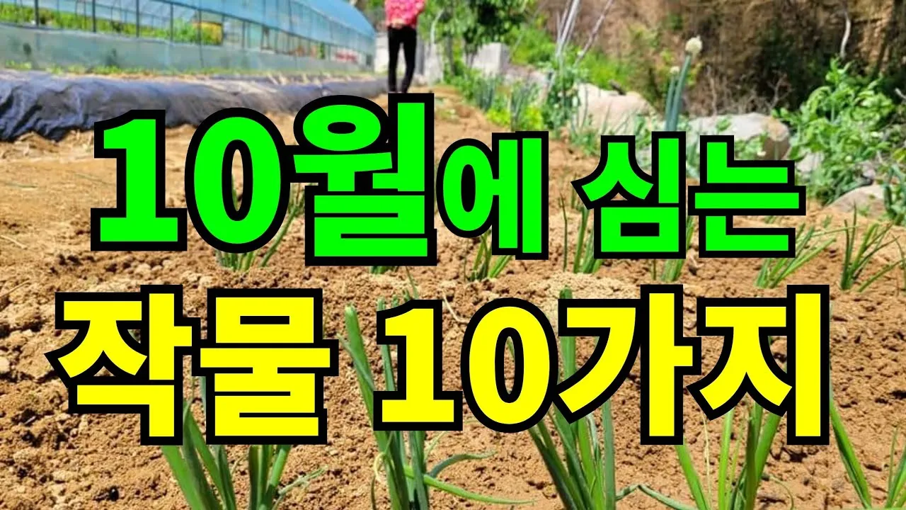 2025년 10월에 파종하기 좋은 작물들 농업 재배법_3