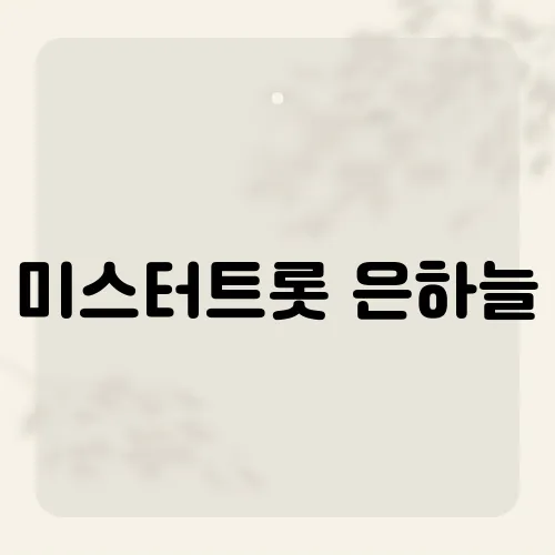 미스터트롯 은하늘, 순위 뒤집은 음색 반전?