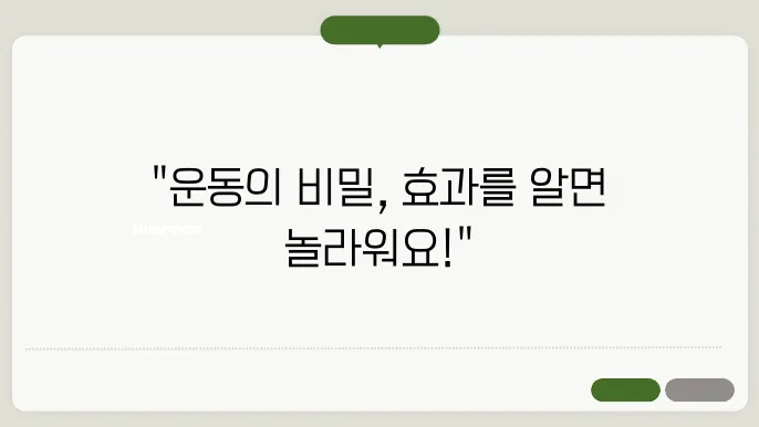 다양한 운동 종류와 효과