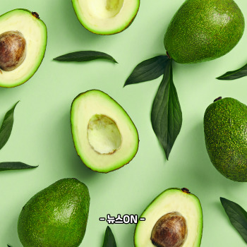 엽산이 많은 음식