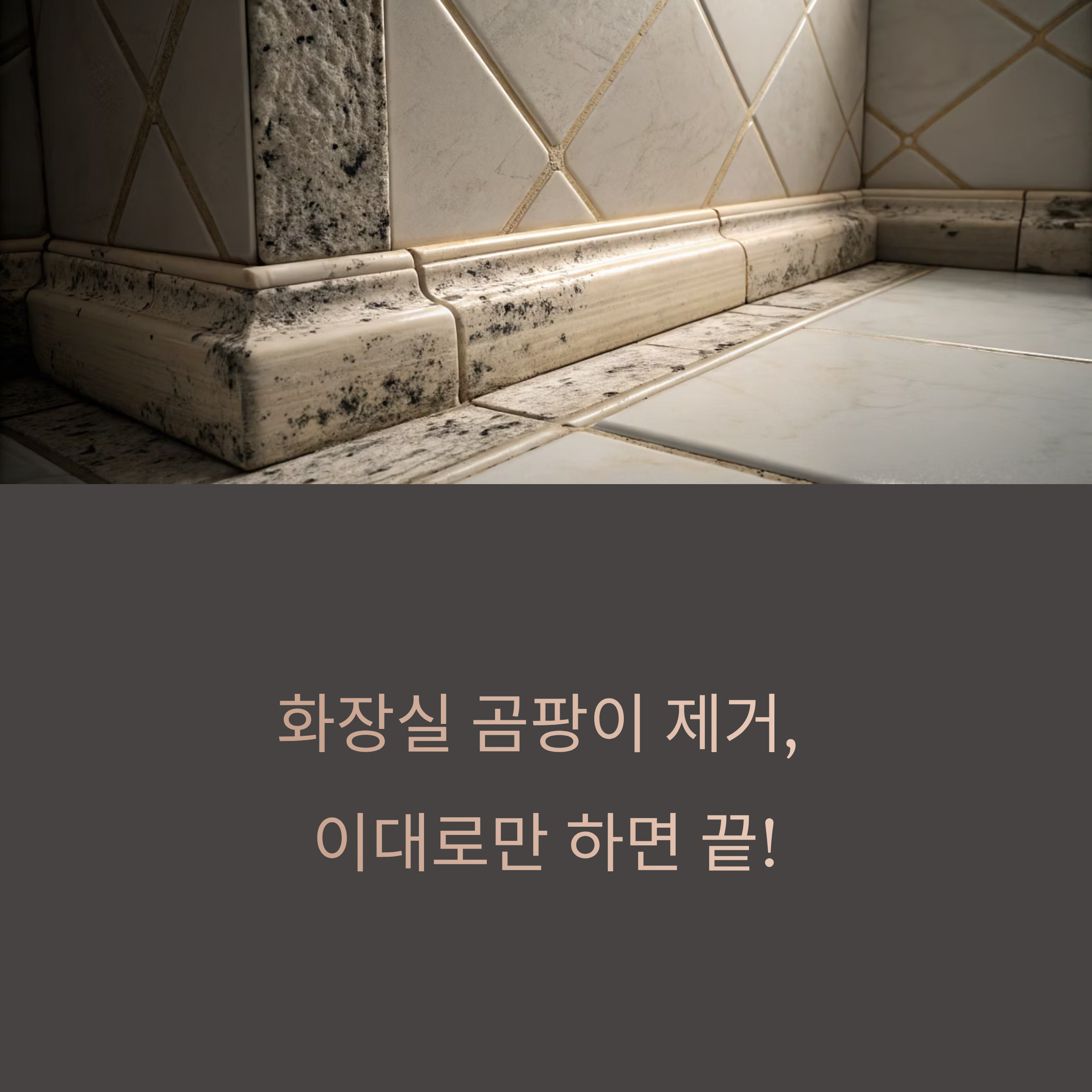 생활팁)화장실 곰팡이 제거, 이대로만 하면 끝!