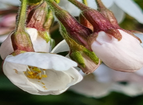 가드닝 실패담 &amp; 교훈 공유