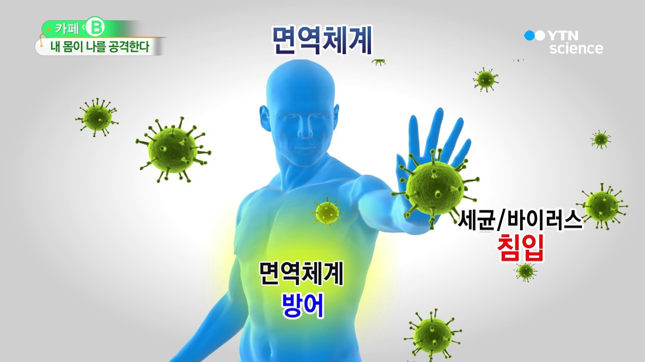 면역체계