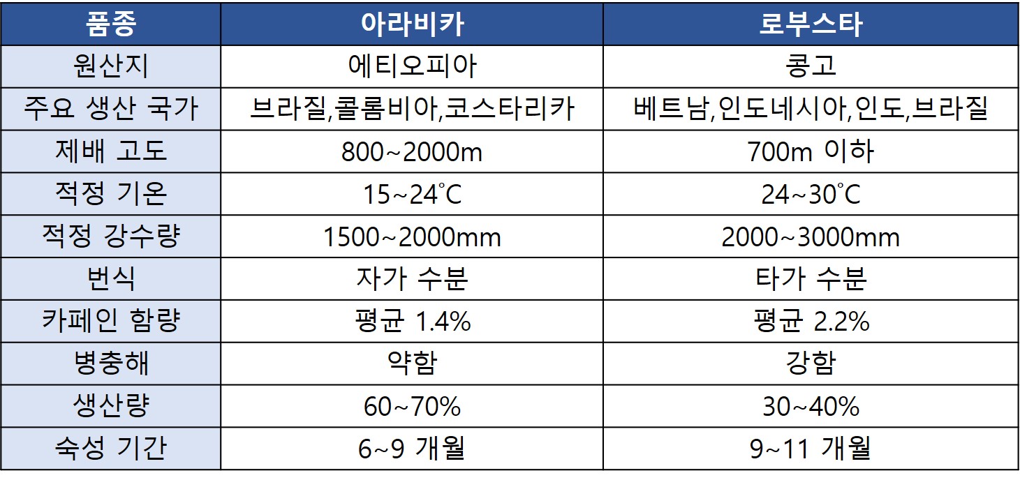 아라비카 품종과 로부스타 품종 비교