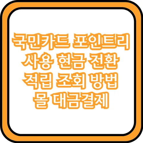 국민카드 포인트 리 현금 전환