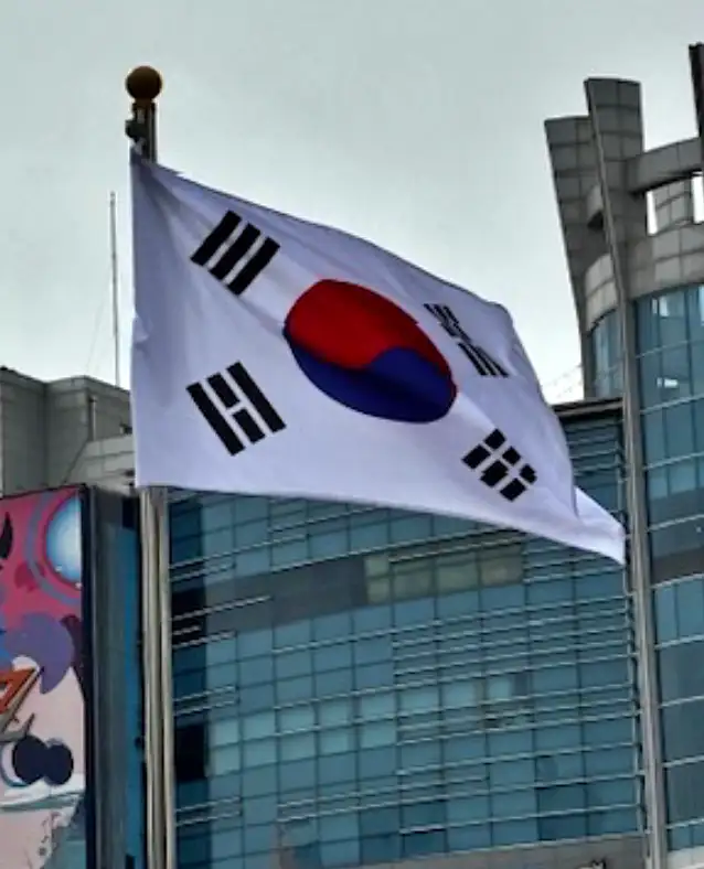 대구&middot;경북 지역의 국민의힘 지지율 하락 원인과 향후 정치적 변수를 분석하는 woolim의 태극기 실물사진