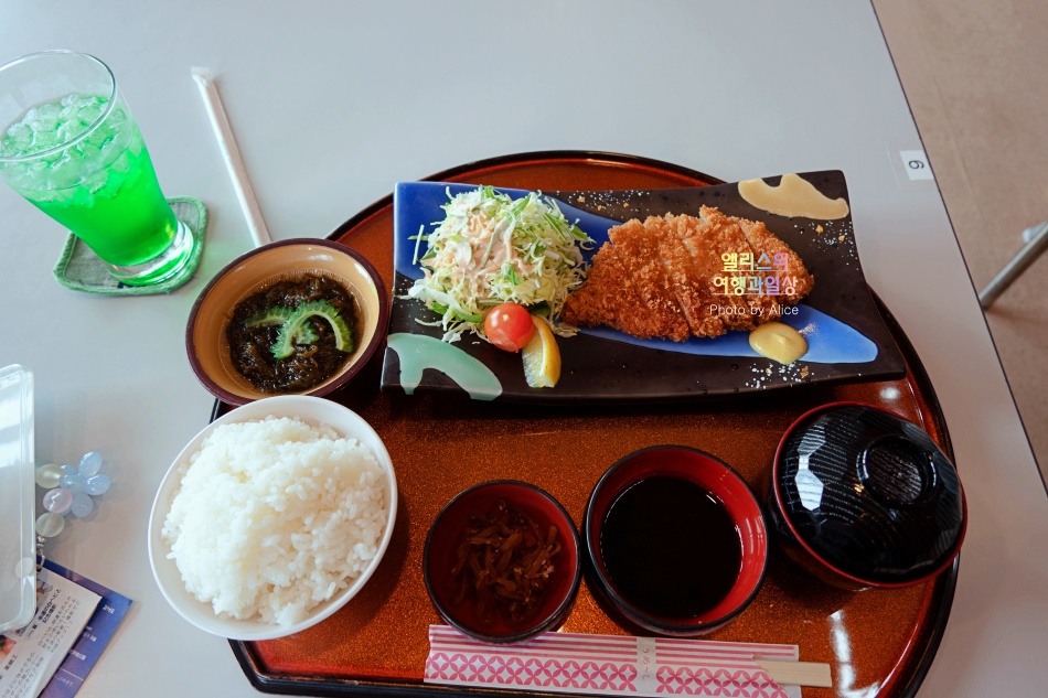 오키나와 남부 버스투어 솔직후기 가격 시간 오키나와 월드