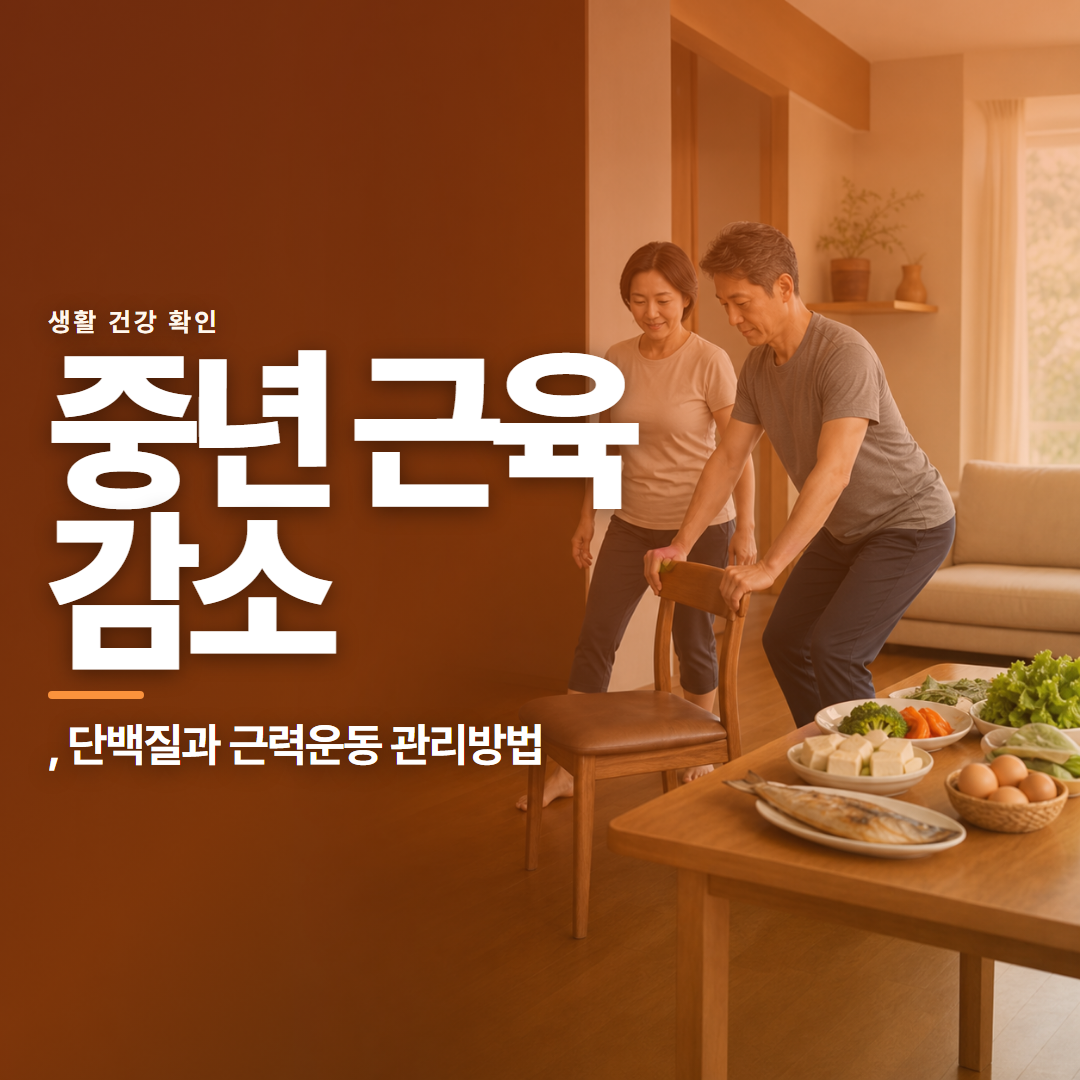 중년 근육 감소 &middot; , 단백질과 근력운동 관리방법