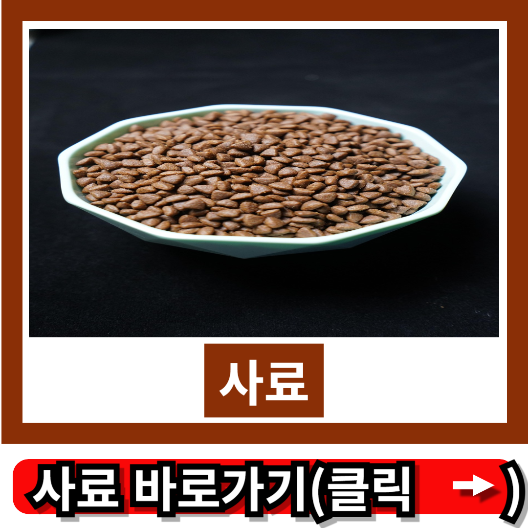 사료